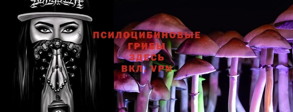 гидра Бородино