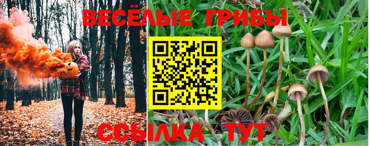 Псилоцибиновые грибы Cubensis Южноуральск