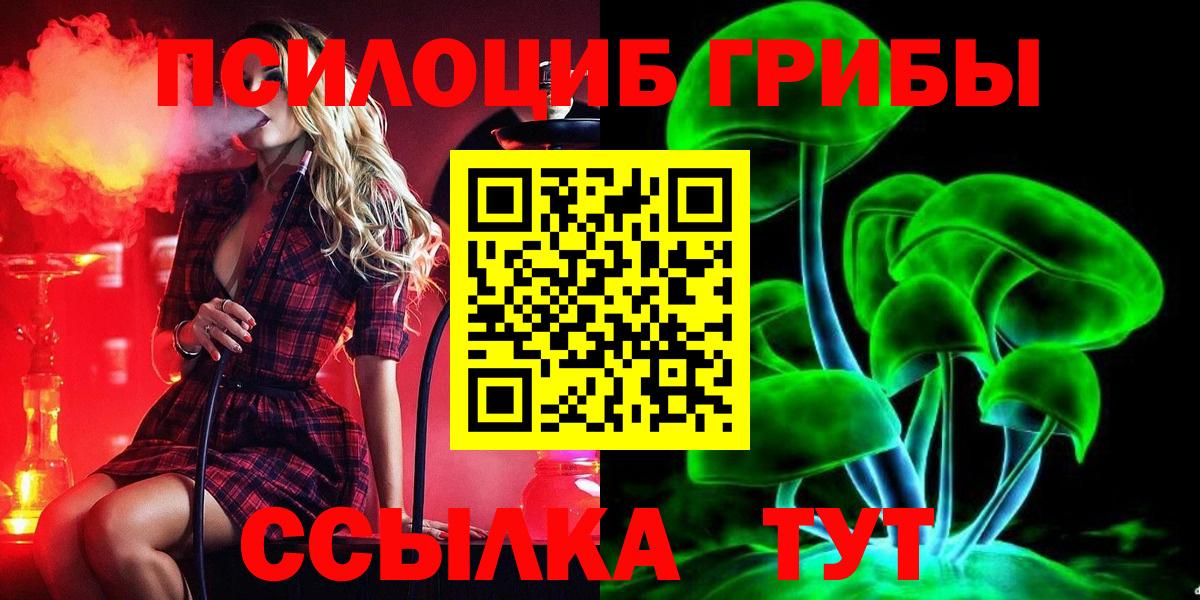 Псилоцибиновые грибы мухоморы  Южноуральск  Псилоцибиновые грибы GOLDEN TEACHER 